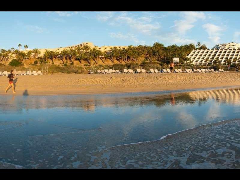 Vista grandangolare di una spiaggia dell'hotel con palme, sabbia e onde oceaniche.