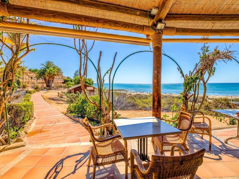 Terrazza coperta con tavoli e sedie con vista su un sentiero e il mare.