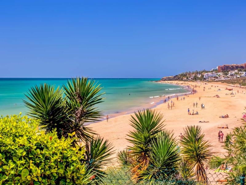 Spiaggia con sabbia fine e mare blu chiaro, circondata da piante verdi e luce solare.