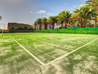 Freiluft-Tennisplatz mit grünem Belag und Palmen im Hintergrund bei klarem Himmel.
