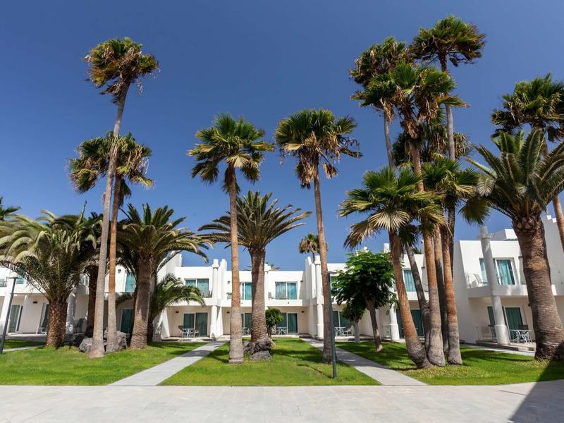 Rows of tall palm trees with a white building and blue sky in the background.