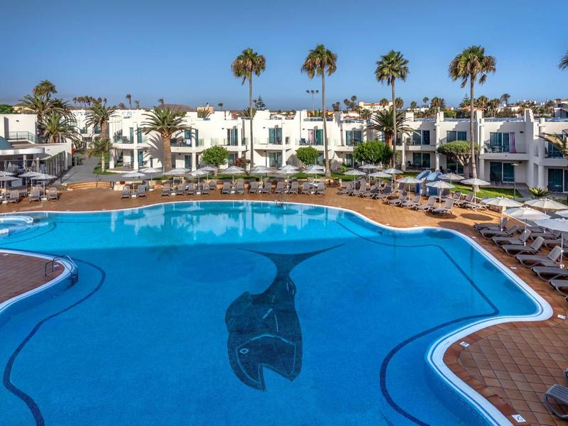 Resort pool with dolphin mosaic and surrounding sun loungers under palm trees