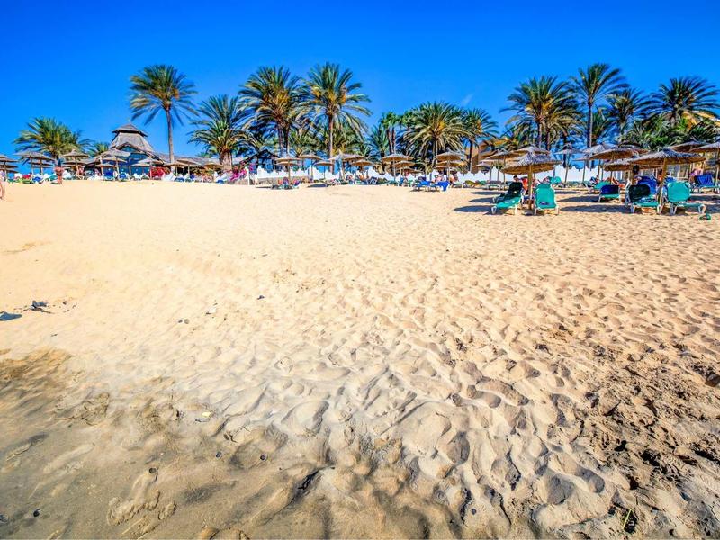 Vista dalla spiaggia sabbiosa con palme e ombrelloni sullo sfondo.
