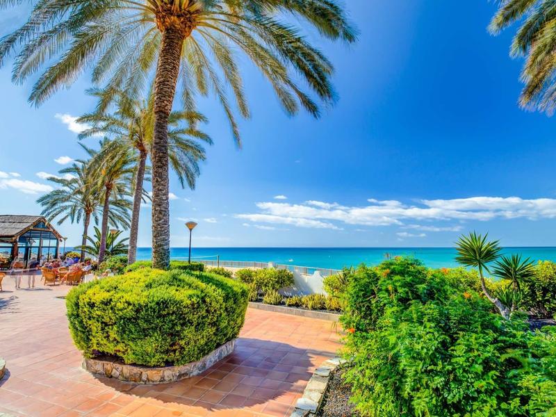Un sentiero costiero soleggiato con palme e vista sul mare azzurro sotto un cielo sereno.