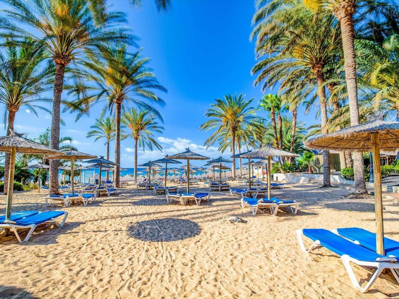 Spiaggia soleggiata con palme, lettini blu e ombrelloni sotto un cielo sereno.