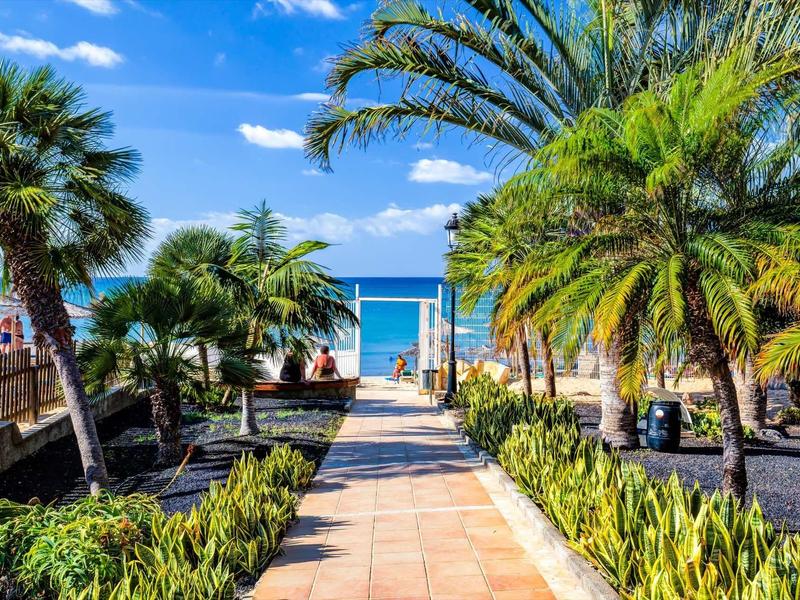 Sentiero attraverso giardino tropicale verso spiaggia e mare con cielo azzurro