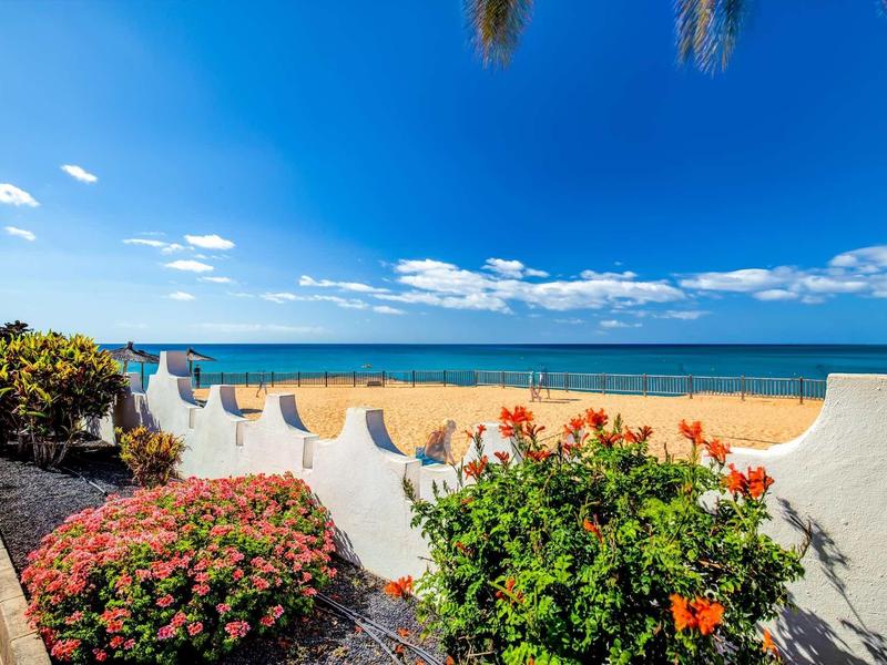Passeggiata sul lungomare con fiori colorati che si affaccia su spiaggia di sabbia e mare sotto un cielo limpido.