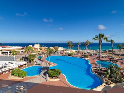 Large pool with palm trees and sun loungers by the sea on a sunny day.