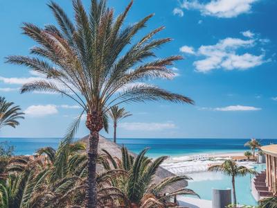 Strand mit Palmen, blauem Himmel, Meer im Hintergrund und Gebäuden am Ufer.
