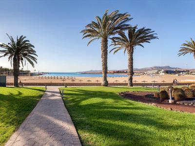 Allée menant à la plage avec pelouse verte et palmiers sous ciel dégagé.