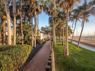 Allée bordée de palmiers entre un espace vert et une plage au coucher du soleil.