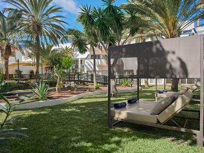 Hotel garden with lounge chair and palm trees under a blue sky.