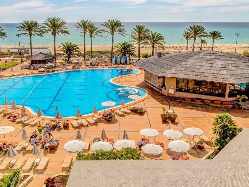 Ampia zona piscina con lettini e palme vicino al mare