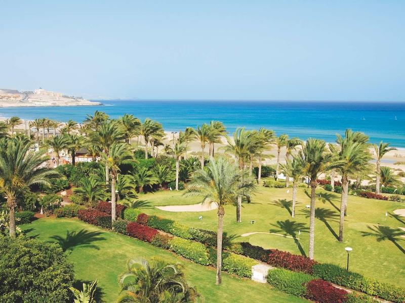 Giardino verde con palme lungo la costa accanto al mare blu sotto un cielo sereno.