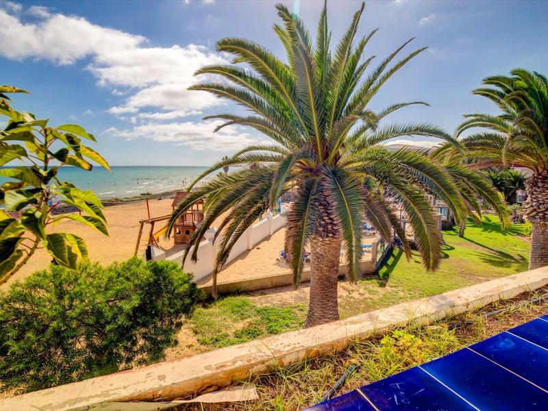 Palmy na pláži s dětským hřištěm a mořem v pozadí za slunečného počasí.