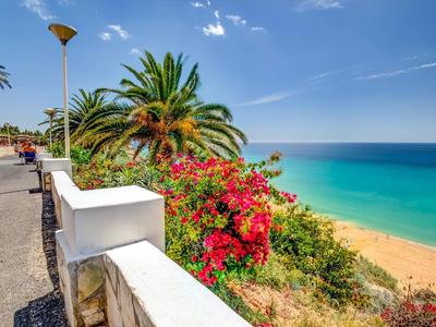 Blick auf einen sonnigen Strand mit Palmen und blühenden Blumen von einer Promenade aus
