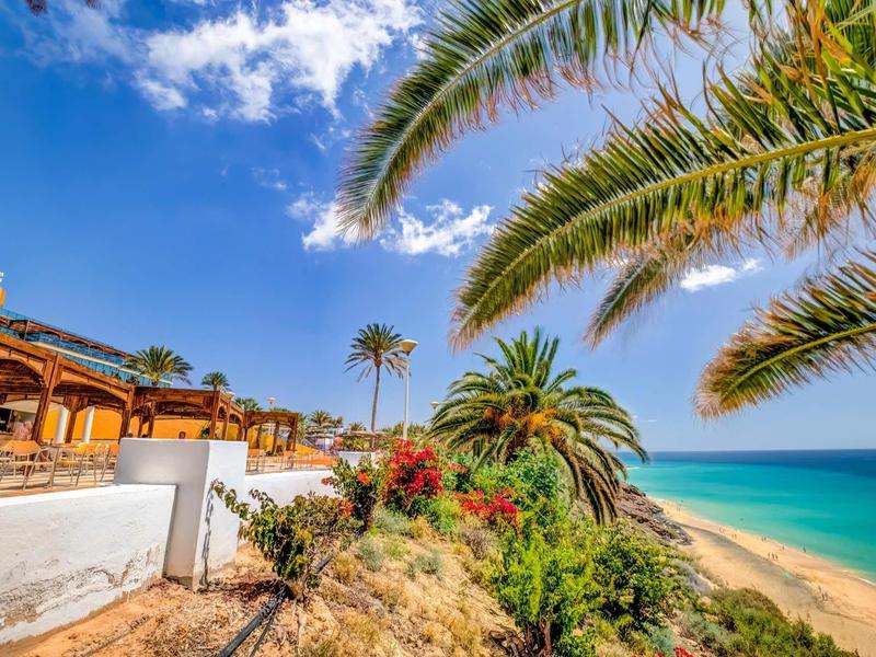 Pláž s palmami a výhledem na moře vedle dřevěného domu pod modrou oblohou.