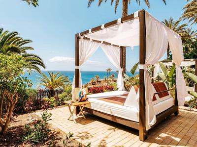 Outdoor-Bett mit weißen Vorhängen unter Palmen am Meer, sonniger Himmel, Natur und Gartenbereich.