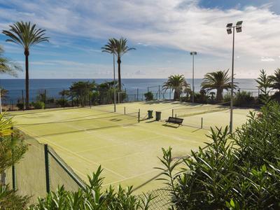 Freier Tennisplatz mit Palme und Meerblick, umgeben von grünen Pflanzen unter blauem Himmel.