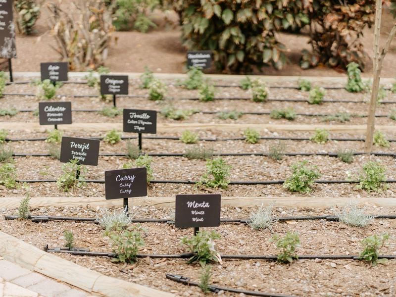Jardin d'herbes avec des panneaux de plantes étiquetés disposés en rangées