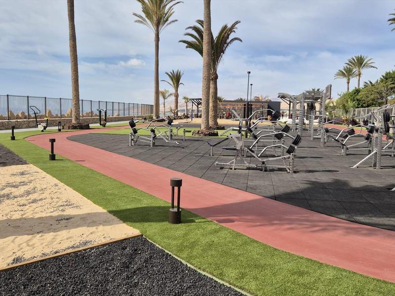 Espace extérieur avec équipements de fitness et plusieurs chemins colorés sous des palmiers par une journée ensoleillée.