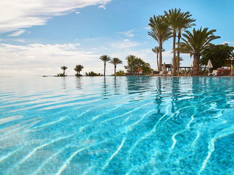 Grand bassin à débordement avec palmiers et ciel bleu clair en arrière-plan.