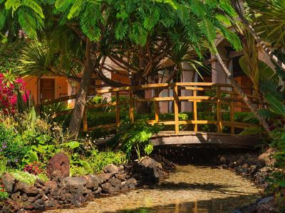 Een kleine houten brug over een ondiepe stroom omgeven door weelderig groen en tropische planten.