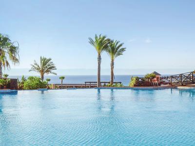 Large pool with palm trees and sea view under clear sky