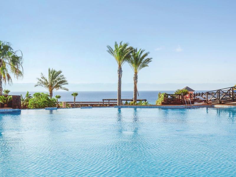Basen infinity z widokiem na morze i palmami wokół.