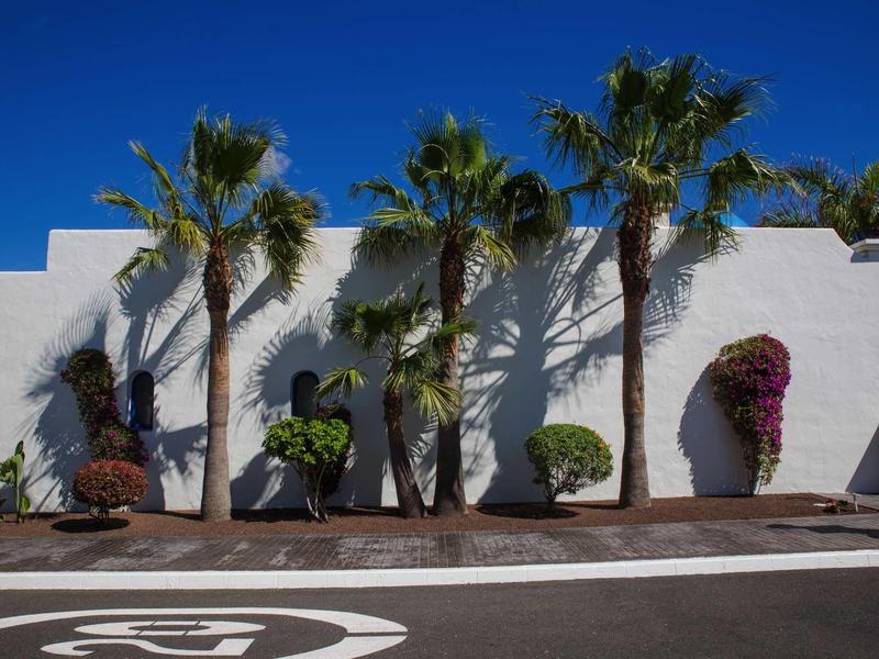 White wall with five palm trees and various shrubs underneath under clear sky.