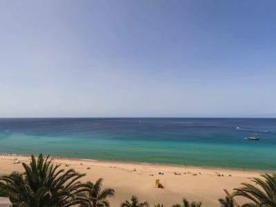 Widok na piaszczystą plażę z palmami na pierwszym planie i spokojnym niebieskim morzem pod czystym niebem