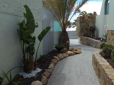 Wąska ścieżka ogrodowa z palmami i roślinami między białymi budynkami.