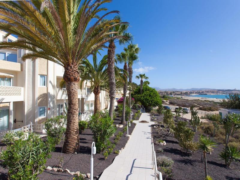 Teren hotelu z palmami i widokiem na morze w słoneczny dzień