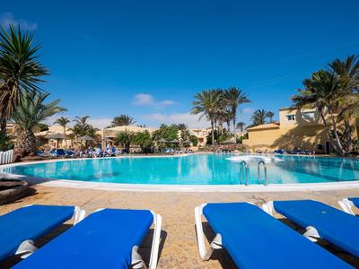 Schwimmbad mit blauem Wasser, blauen Liegestühlen und Palmen bei klarem Himmel.