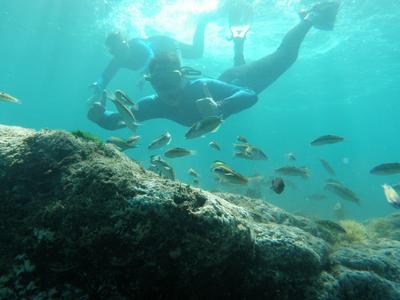 Unterwasseraufnahme zeigt zwei schnorchelnde Personen und zahlreiche Fische über Felsen im klaren Wasser.