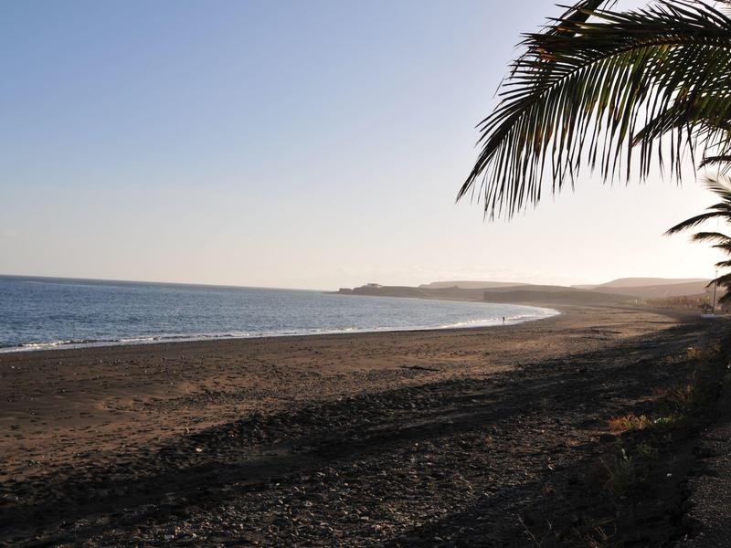 Strand met kalme zee, zandige kust en palmbomen onder heldere lucht bij zonsondergang.