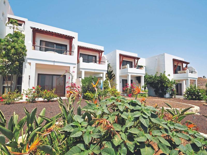 Casa adosada con fachada blanca y plantas en primer plano bajo cielo claro.