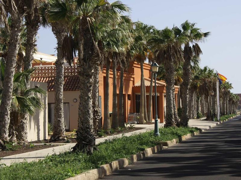 Straat met palmbomen en traditionele gebouwen in zonnige vakantiebestemming