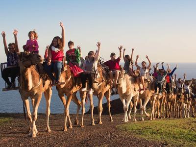Oasis Wildlife Fuerteventura Sotavento Beach