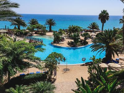 Grande piscina con palme e vista sul mare in un resort tropicale.