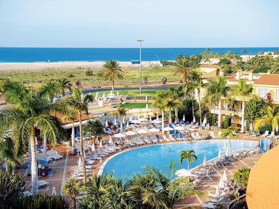 Hotel pool with loungers and palm trees overlooking the beach and sea in the background.