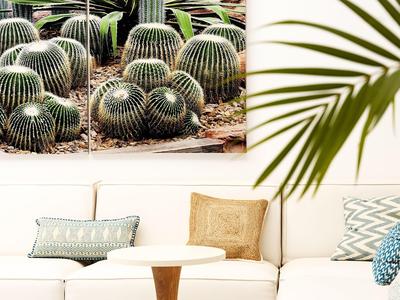 Modern living area with white sofa, decorative pillows, and cactus artwork on the wall.