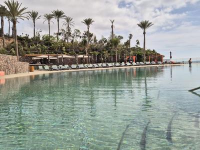 Ein großer, klarer Pool mit blauen Liegestühlen und Palmen am Ufer bei bewölktem Himmel.