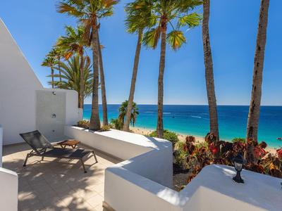 Terrasse avec chaises longues et palmiers donnant sur l'océan et le ciel bleu.