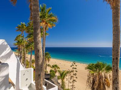 Vue depuis une terrasse aux murs blancs sur une plage avec des palmiers et un ciel bleu.