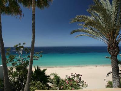 View of a white sandy beach with palm trees and clear blue sky and sea.