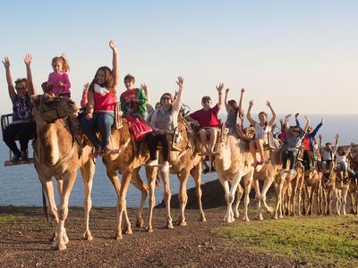 Grupo de personas montando camellos cerca de la costa con cielo despejado y mar de fondo.