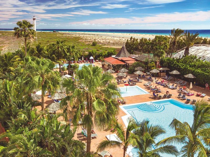 View of a tropical pool area with palm trees and garden by the sea at sunset.