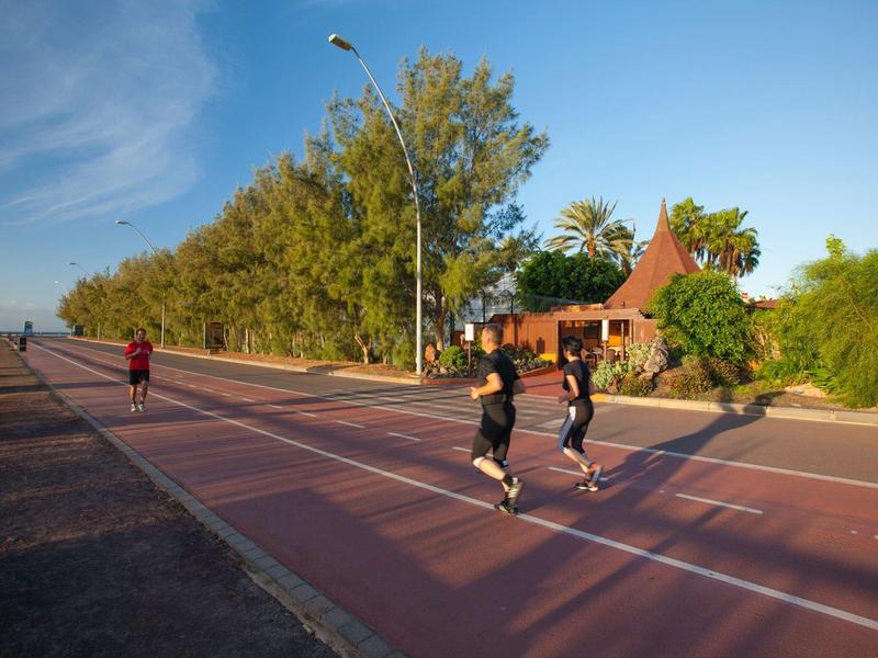 Runners on a sunny street beside trees and a house under a clear sky.