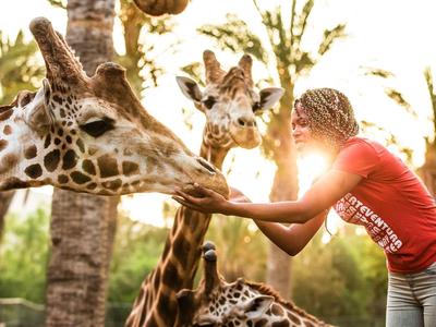 Oasis Wildlife Fuerteventura